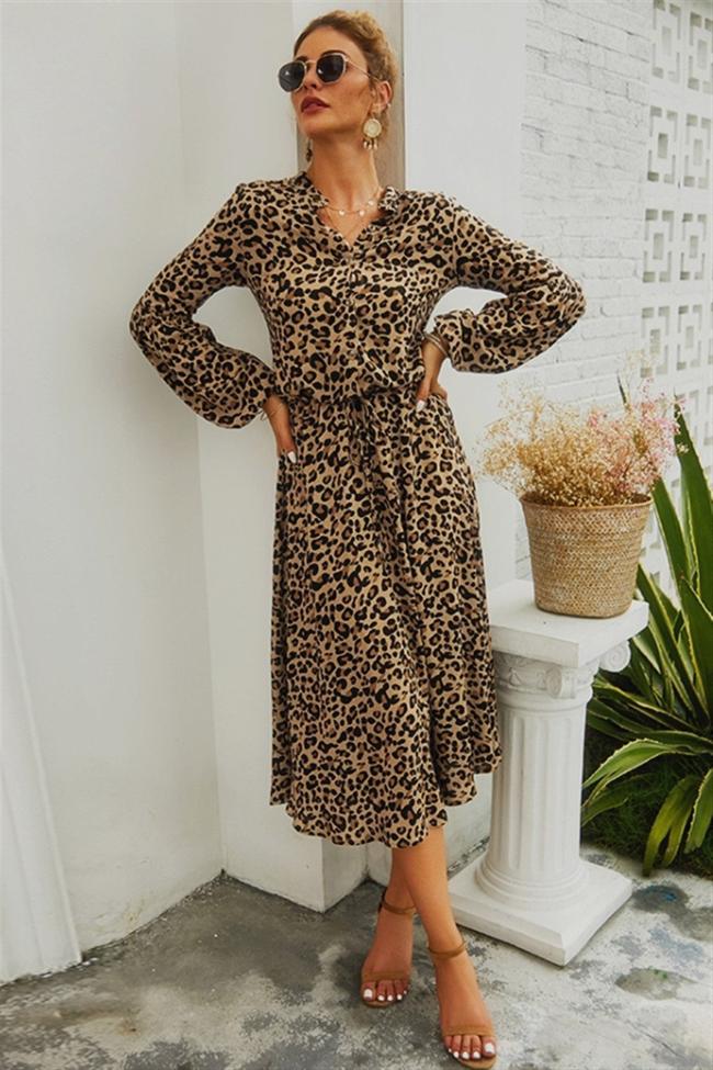 Leopard V Neck Long Sleeved Maxi Dress