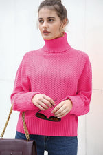 Load image into Gallery viewer, High Collar Solid Color Sweater
