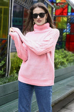 Load image into Gallery viewer, Solid Color High Collar Sweater
