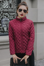 Load image into Gallery viewer, Velvet Stand Collar Parkas Jacket
