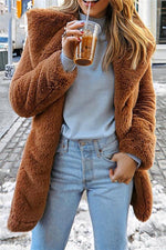 Load image into Gallery viewer, Elegant Shaggy Faux Fur Teddy Coat
