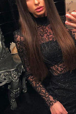 Load image into Gallery viewer, Black Lace Turtleneck See Through Bodycon Dress
