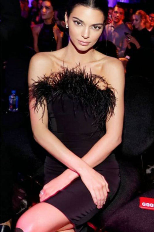 Kendall Jenner Black Bodycon Strapless Party Dress With Feather