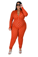Load image into Gallery viewer, Plus Size Sexy See Through Long Sleeve Jumpsuit
