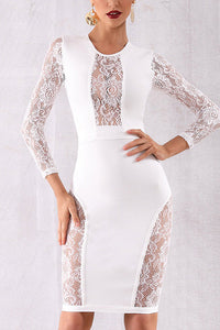 Round Neck Lace Insert See Through Bodycon Dress