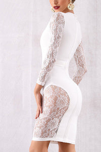 Round Neck Lace Insert See Through Bodycon Dress