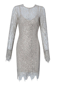 Sequin Long Sleeve Lace Mini Bodycon Dress