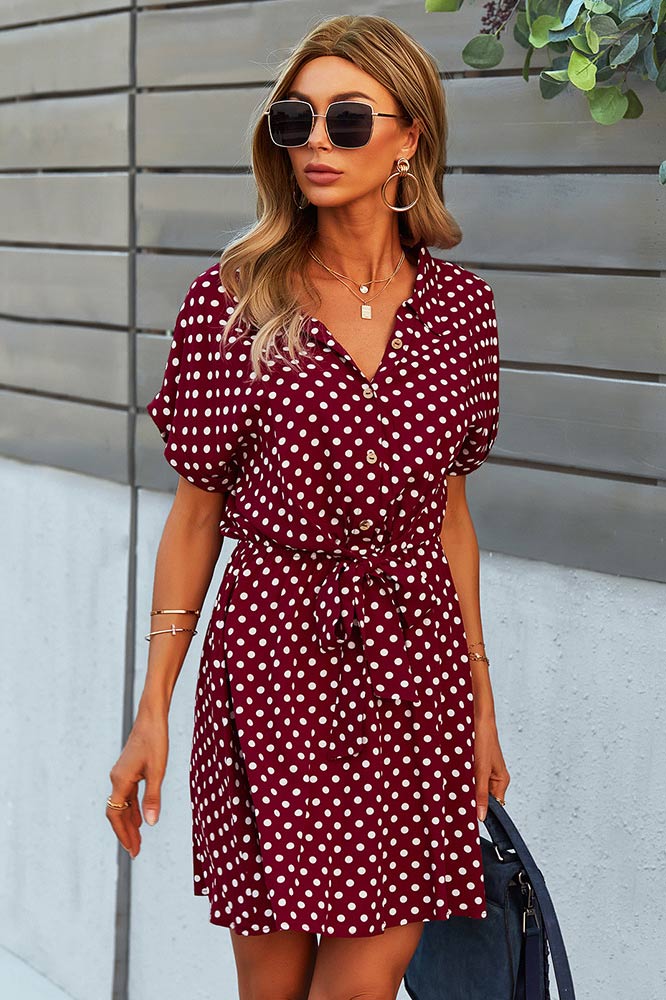 Short Mini Polka Dot Printed Dress